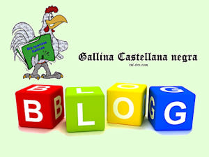 Blog Gallina Castellana negra 300x225