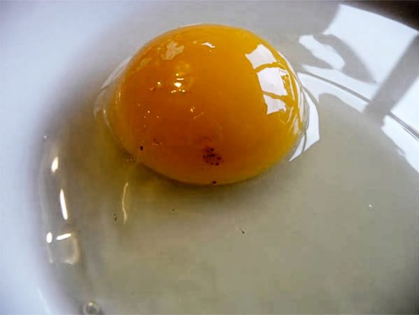 Huevo con partículas pequeñas en la clara