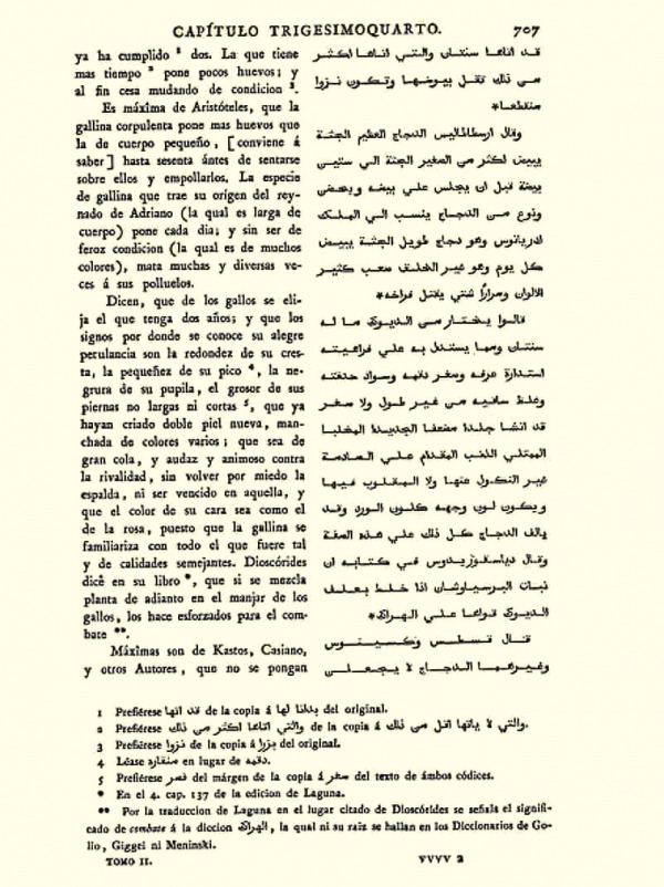 720 -707 De las Gallinas Abu Zacaria Iahia