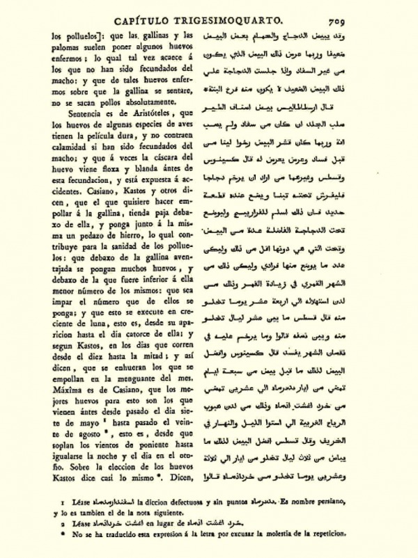 722 -709 De las Gallinas Abu Zacaria Iahia
