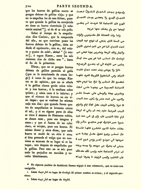 723 -710 De las Gallinas Abu Zacaria Iahia