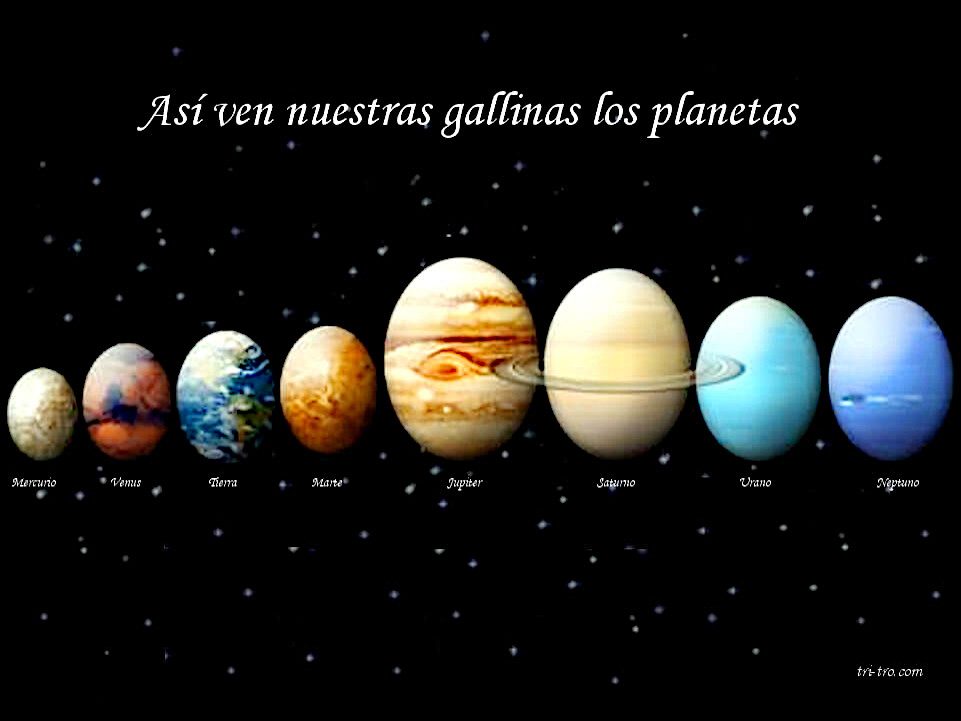 Así ven nuestras gallinas los planetas
