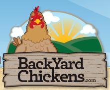 BackYard Chickens.com
