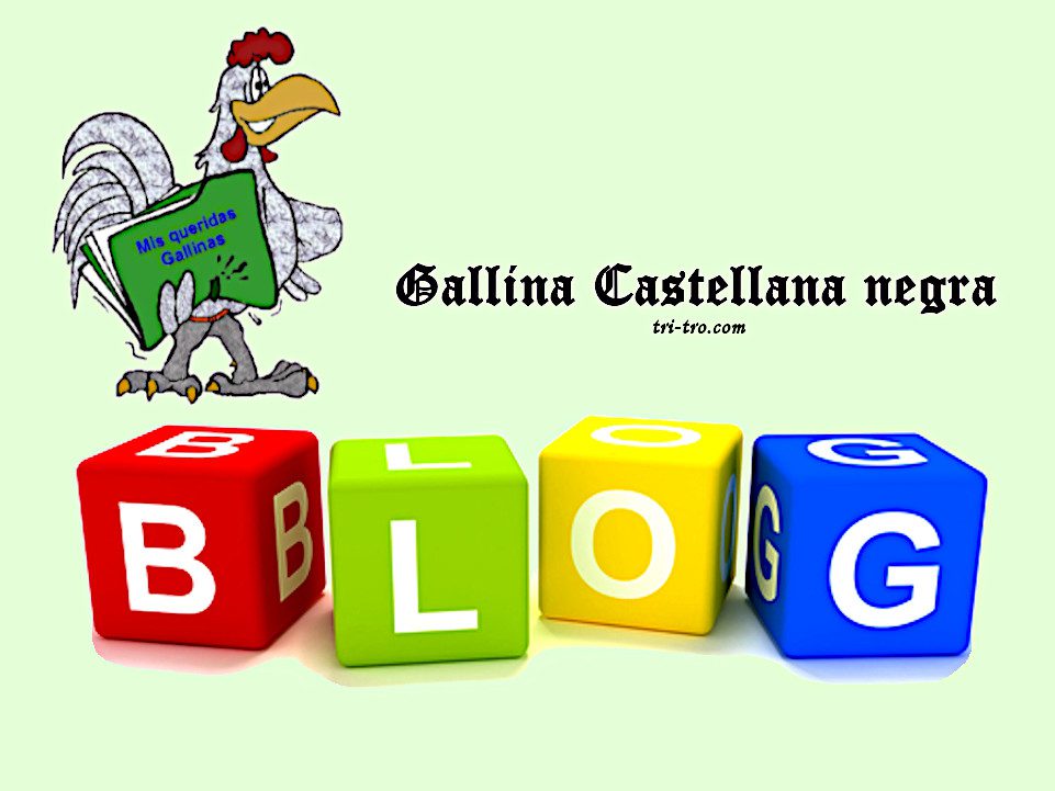 Blog Gallina Castellana negra