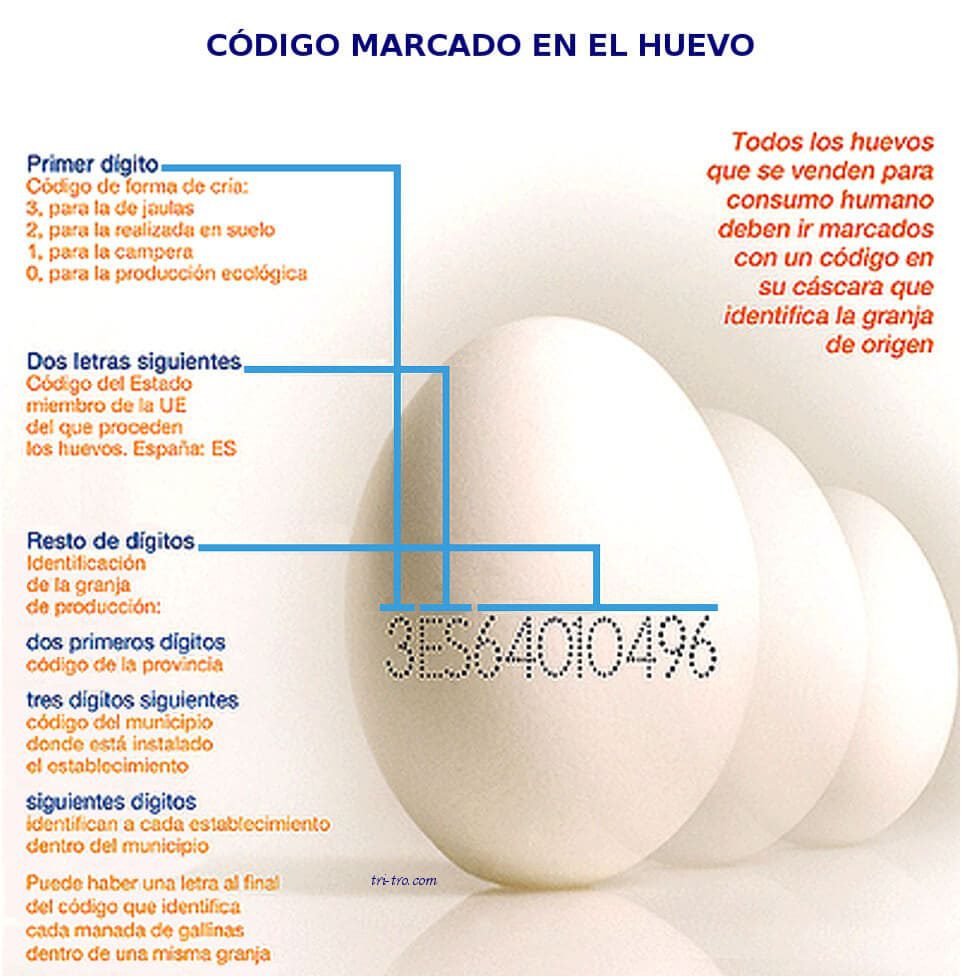 Código marcado en el huevo blanco