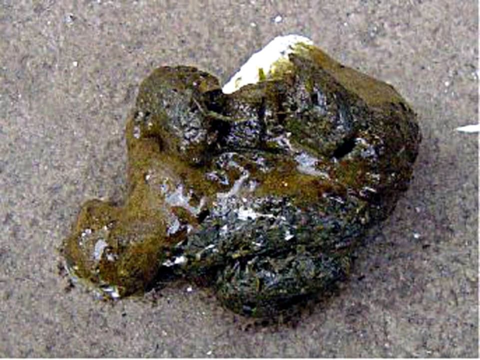 Caca normal