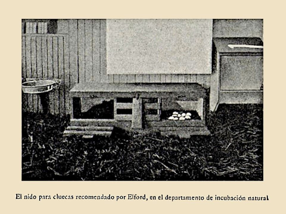 Caja de incubación para tres cluecas.
