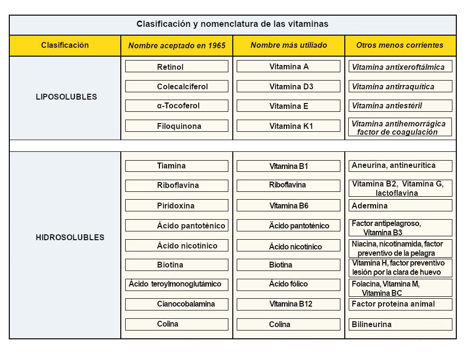 Clasificación y nomenclatura de las vitaminas