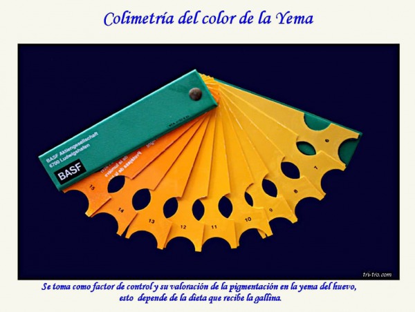 Colimetria del color de la yema del huevo