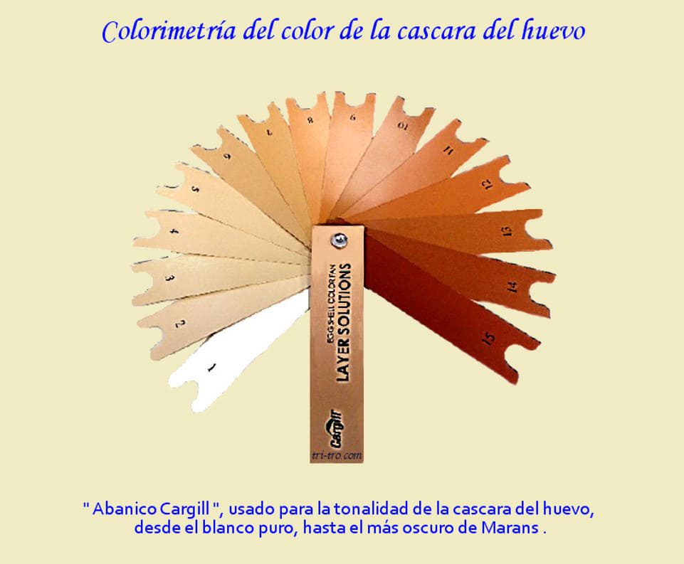 Colorimetría del color de la cascara del huevo, Abanico Cargill.