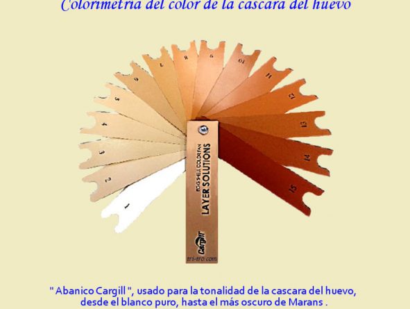 Colorimetría del color de la cascara del huevo, Abanico Cargill.