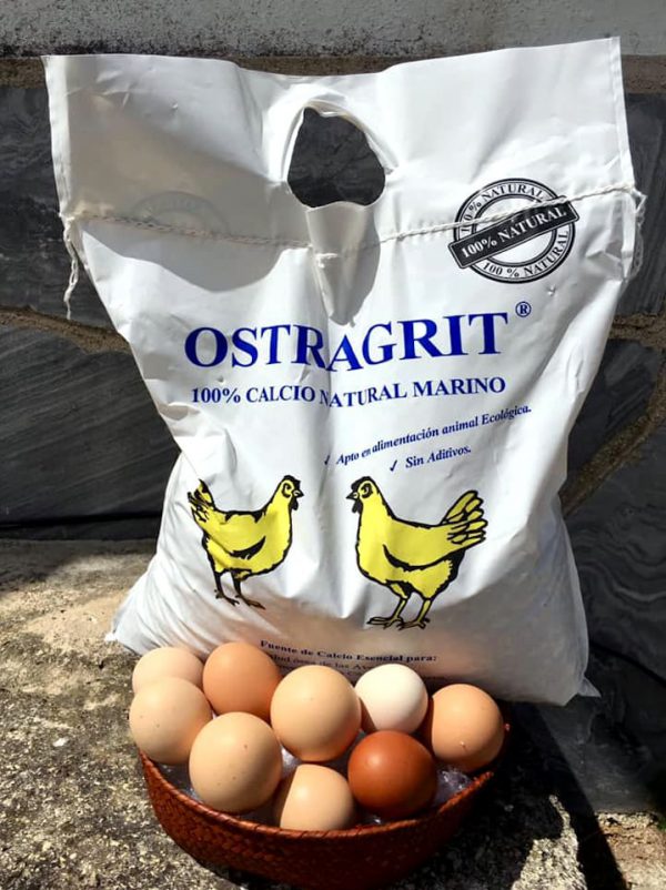 Conchilla ostras natural para aves Ostragrit 5 Kg