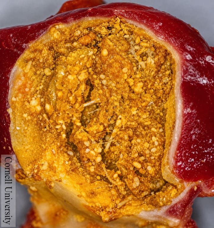 Contenido: molleja de gallina