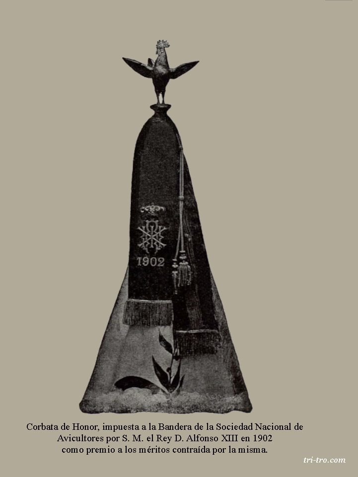 Corbata estandarte primera Sociedad de Avicultores 1902