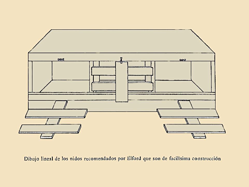 Dibujo Caja de incubación para tres cluecas.