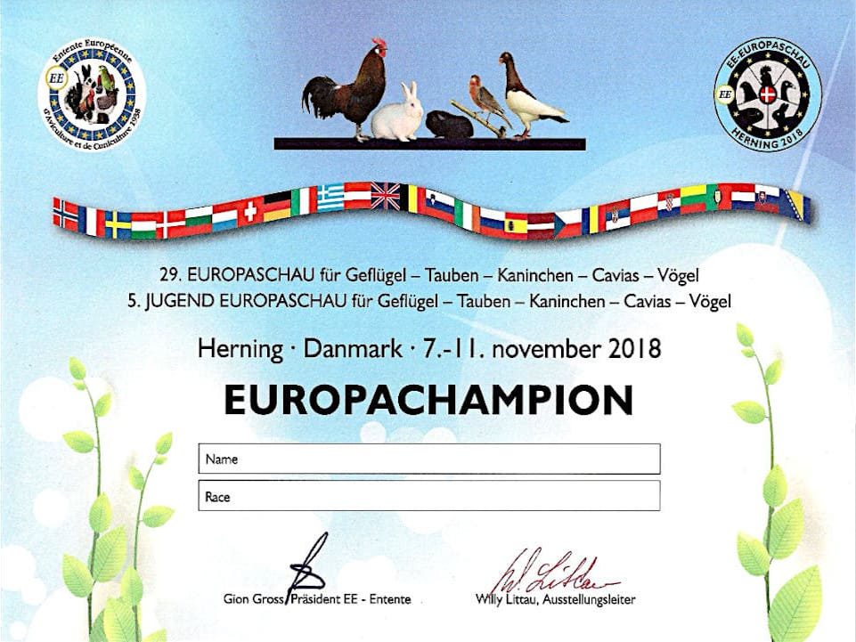 Diploma Europachampion Herning 2018