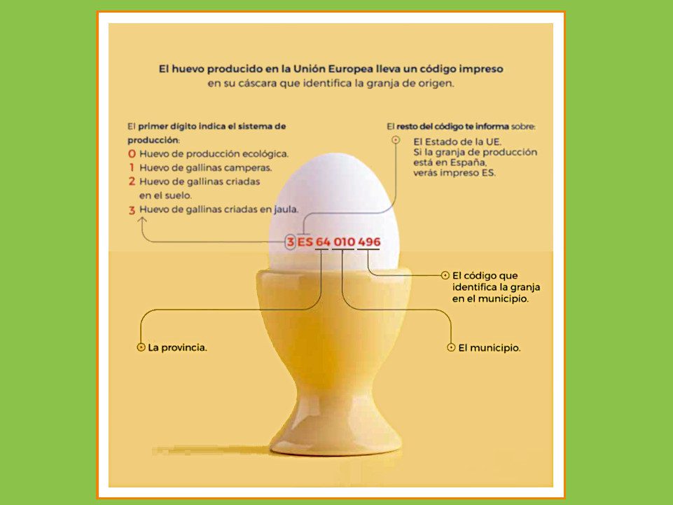 El huevo producido en la Unión Europea lleva un código impreso