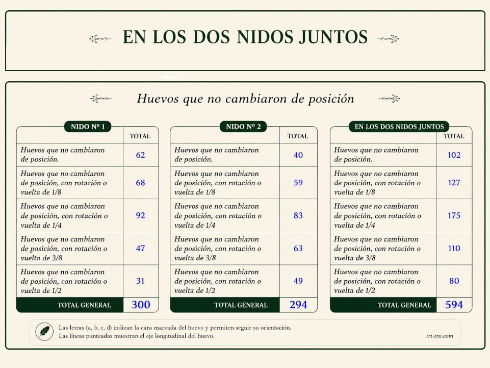En los dos nidos juntos, resultados