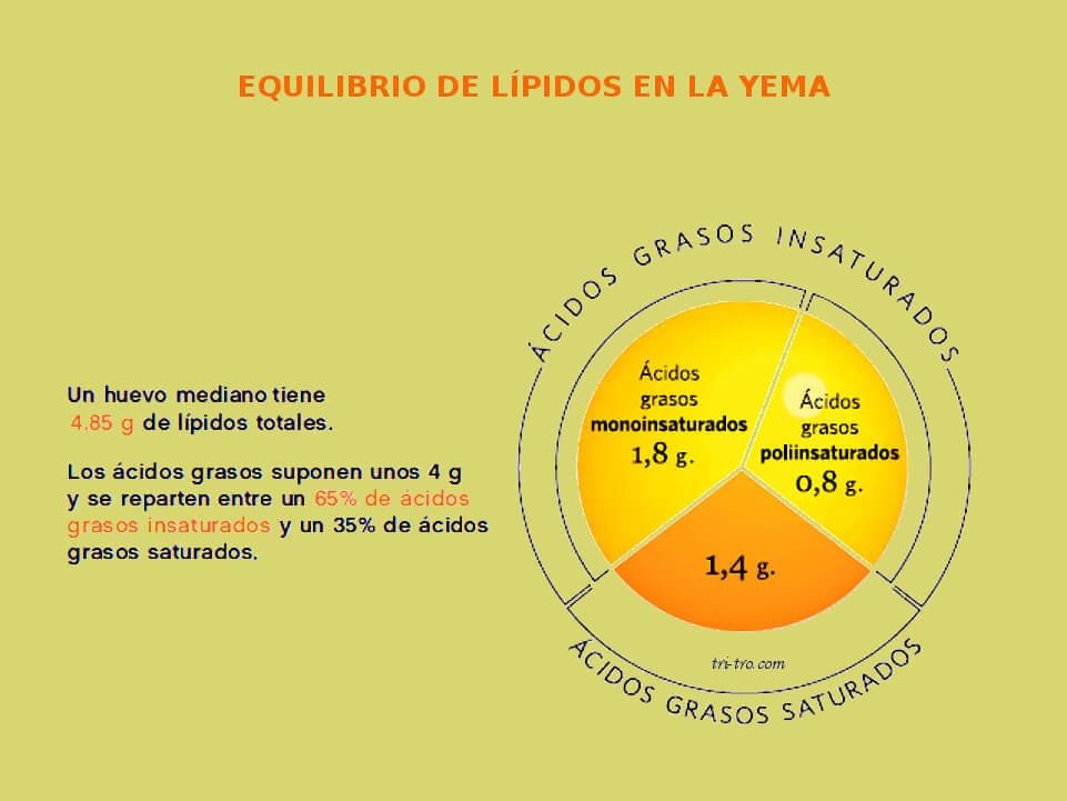 Equilibrio de lípidos en la yema del huevo.