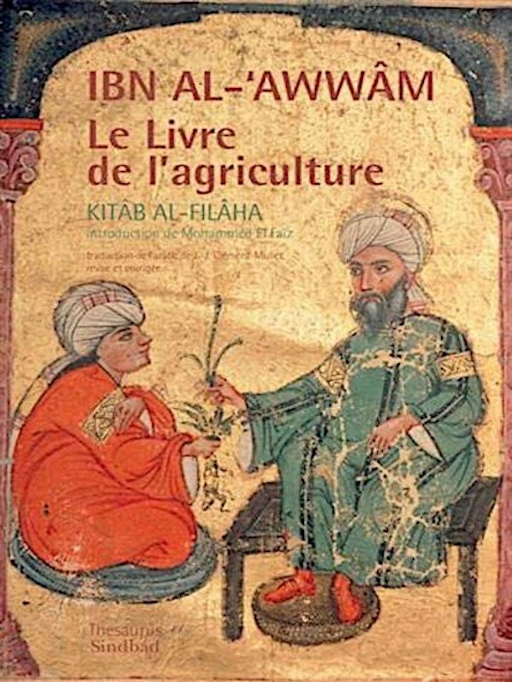 Escribió su magistral Kitab al Filaha