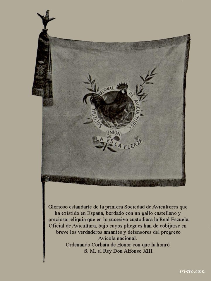 Estandarte primera Sociedad de Avicultores 1898 a 1905