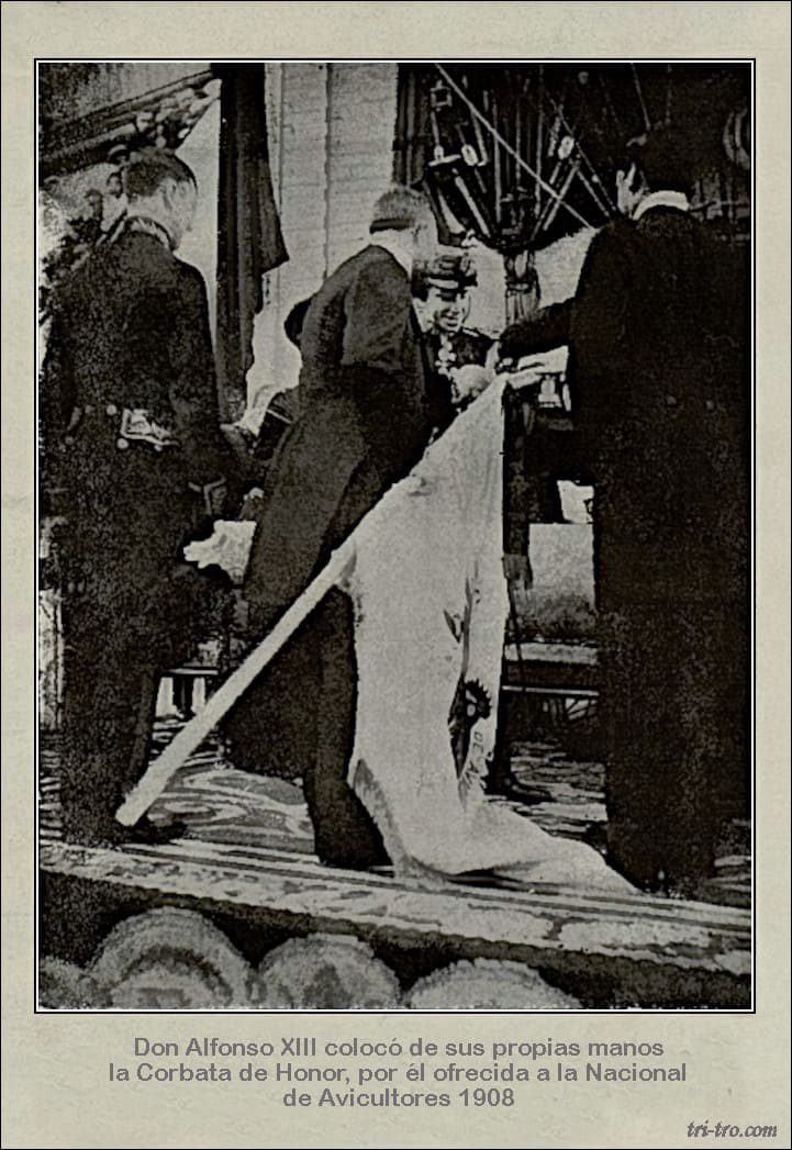 Alfonso XIII colocando la corbata al estandarte en 1908