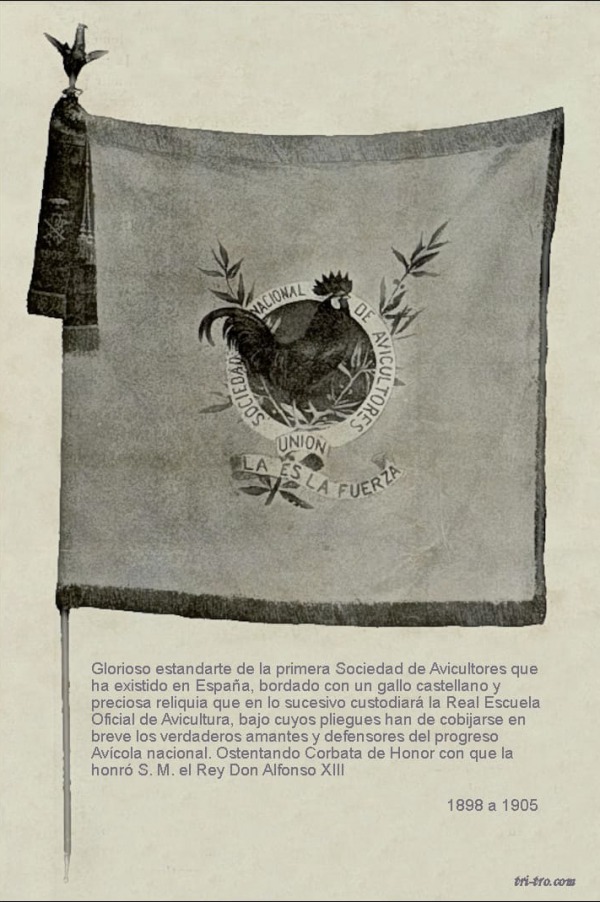Estandarte primera Sociedad de Avicultores 1898 a 1905