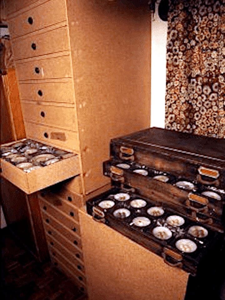 Estante de huevos