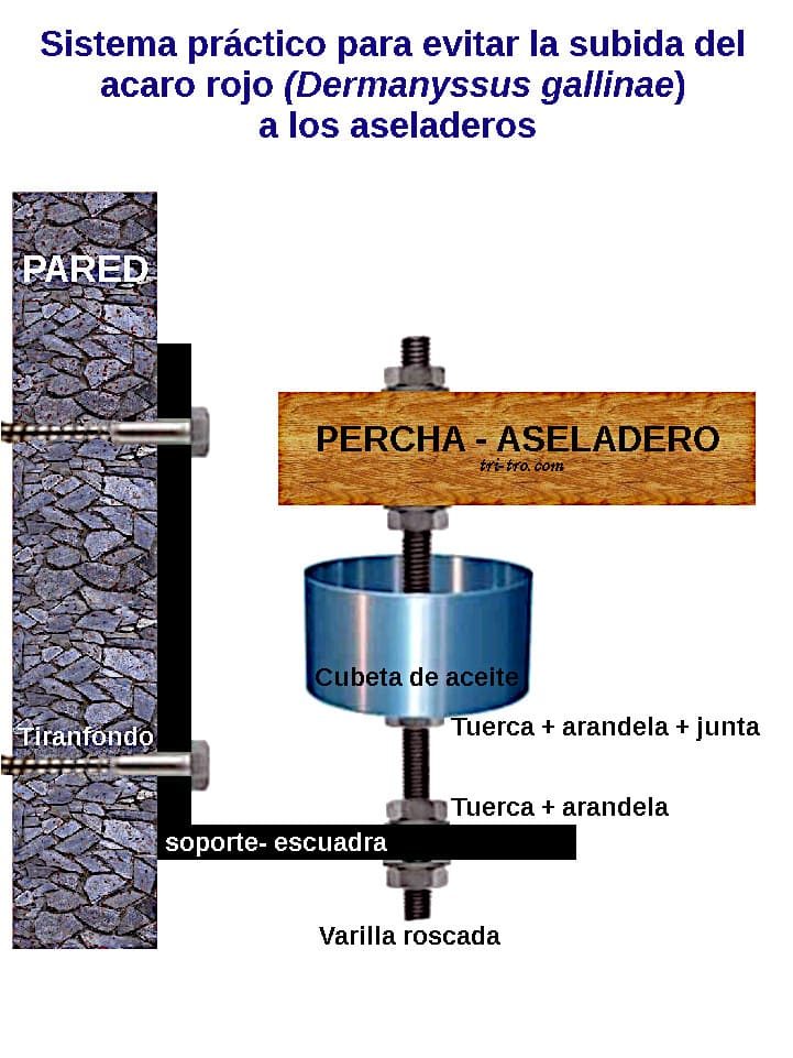 Esquema de la sujeción