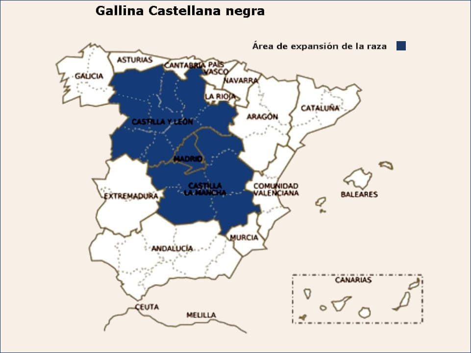 Distribución de la raza Gallina Castellana negra
