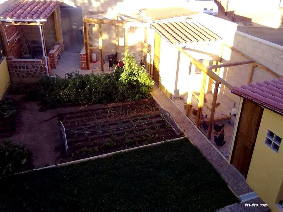Gallineros en verano 2018