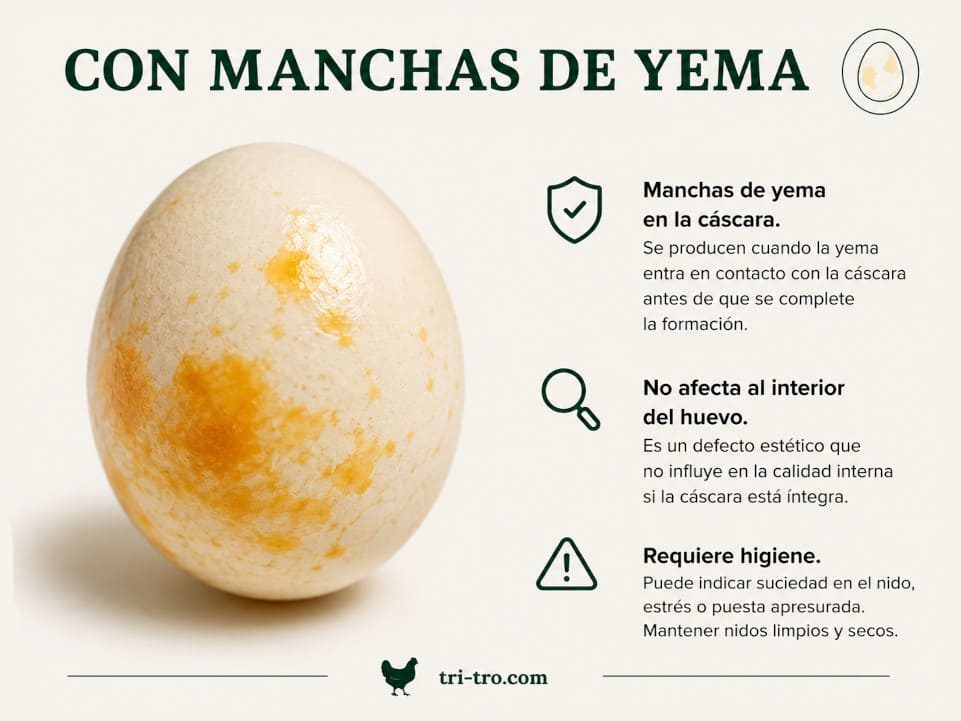 Huevo blanco con manchas amarillas de yema adheridas a la cáscara.