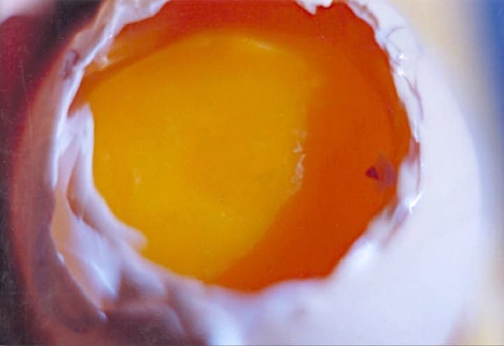 Huevo cortado por la periferia