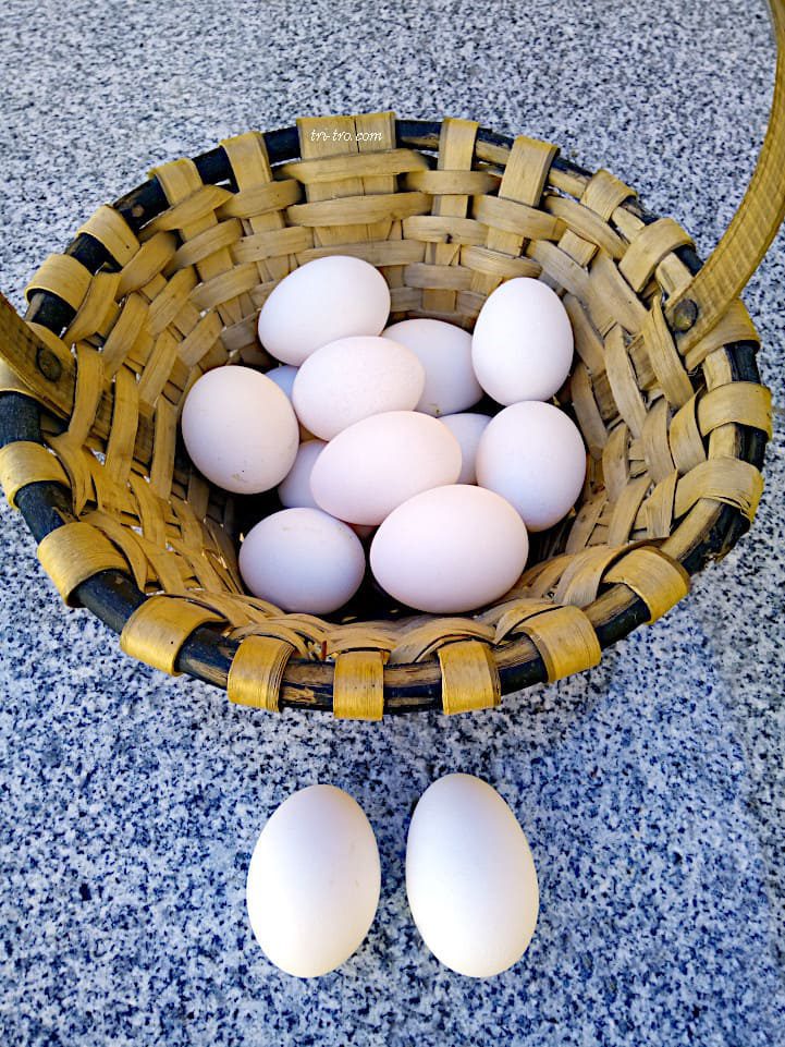 Huevos blancos de Castellana negra.