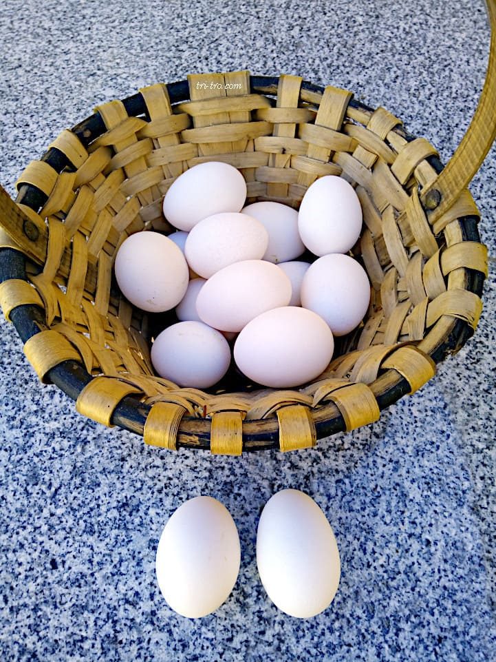Huevos blancos de Castellana negra
