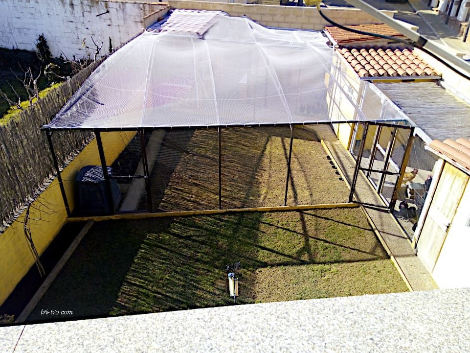 Gallineros actualizado con voladero 2019