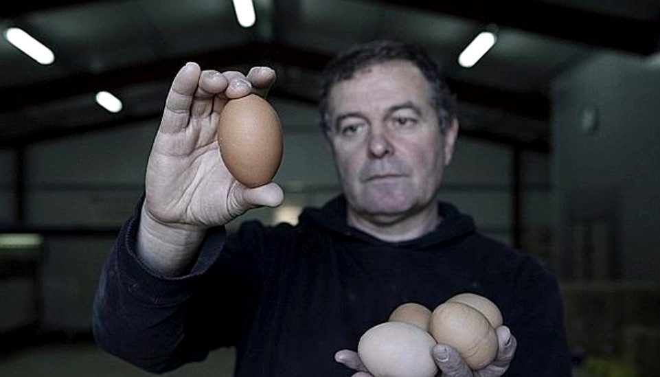 Jose Ignacio Redondo, Menudos huevos