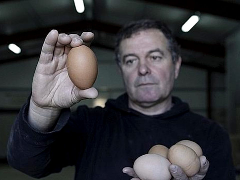 Jose Ignacio Redondo, Menudos huevos