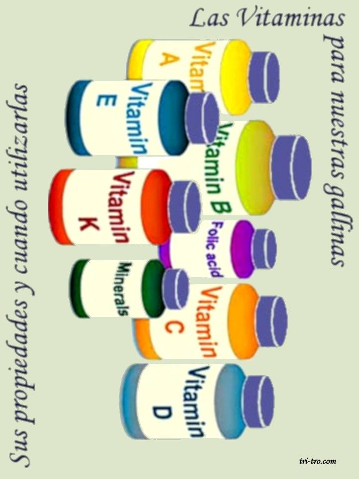 Las vitaminas para gallinas