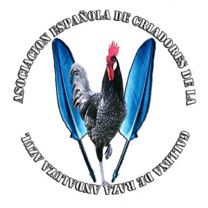 Logo Asociación Española de Criadores de Gallinas de Raza Andaluza Azul
