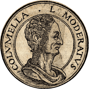 Lucio Moderato Columela moneda.