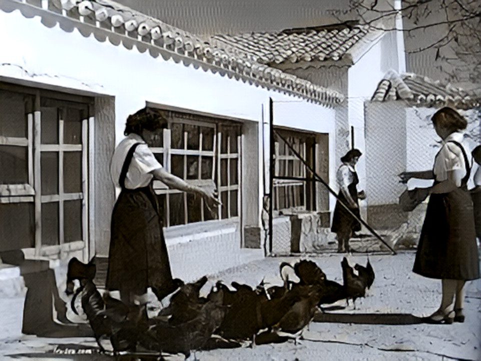 Mujeres en una Granja Escuela aprendiendo el cuidado de los animales. Sección Femenina 1941