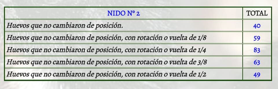 Nido Nº 2