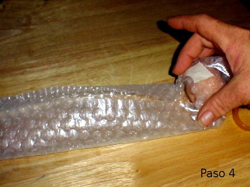 Paso 4