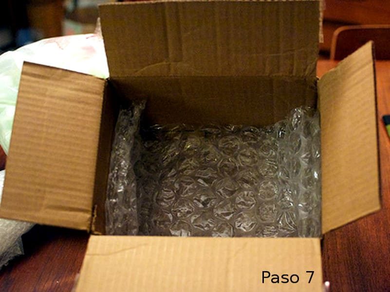 Paso 7