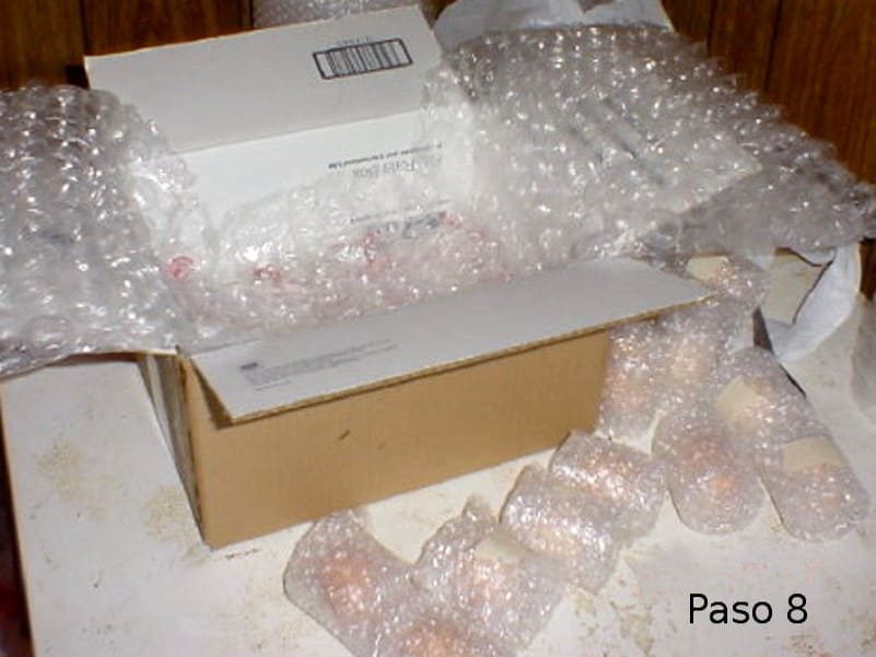 Paso 8