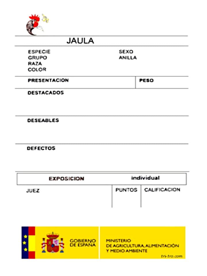 Plantilla de Enjuiciamiento