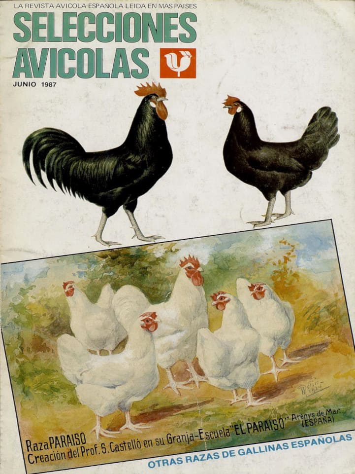 Selecciones Avicolas Junio 1987