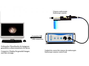 Sistema endoscopio de nuevo diseño