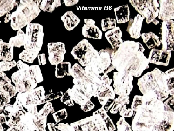 Forma o presentación de la Vitamina B6